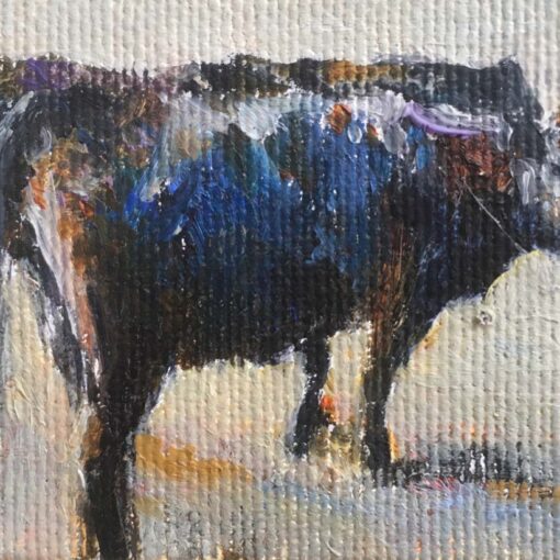 Black angus, olieverf : doek, 7 x 10 cm. € 175